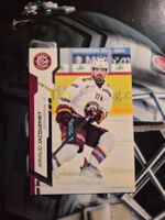 Arnaud Jacquemet HC Geneve Servette Sportzoo 2024/25