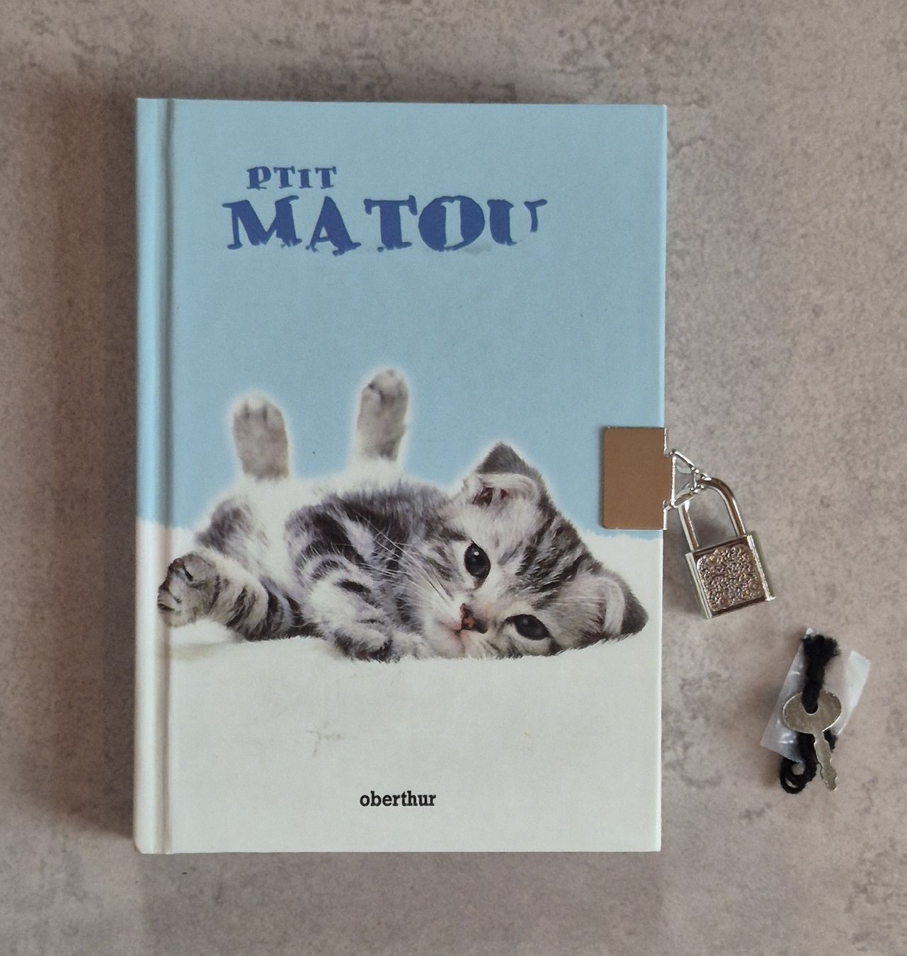 Libri: Neues Katzen Tagebuch mit Schlüssel  – Nuovo e nell'imballaggio originale da Höfen b. Thun venduto da enr_7xsd