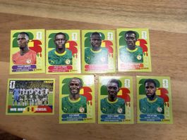 FIFA World Cup 2026 Senegal Sticker 8 Stück neu