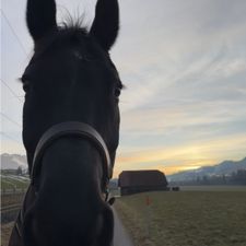 Profile image of lor_vm9v