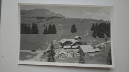 Carte postale Hôtel des Alpes Bäderhorn 