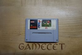 FIFA Soccer 96