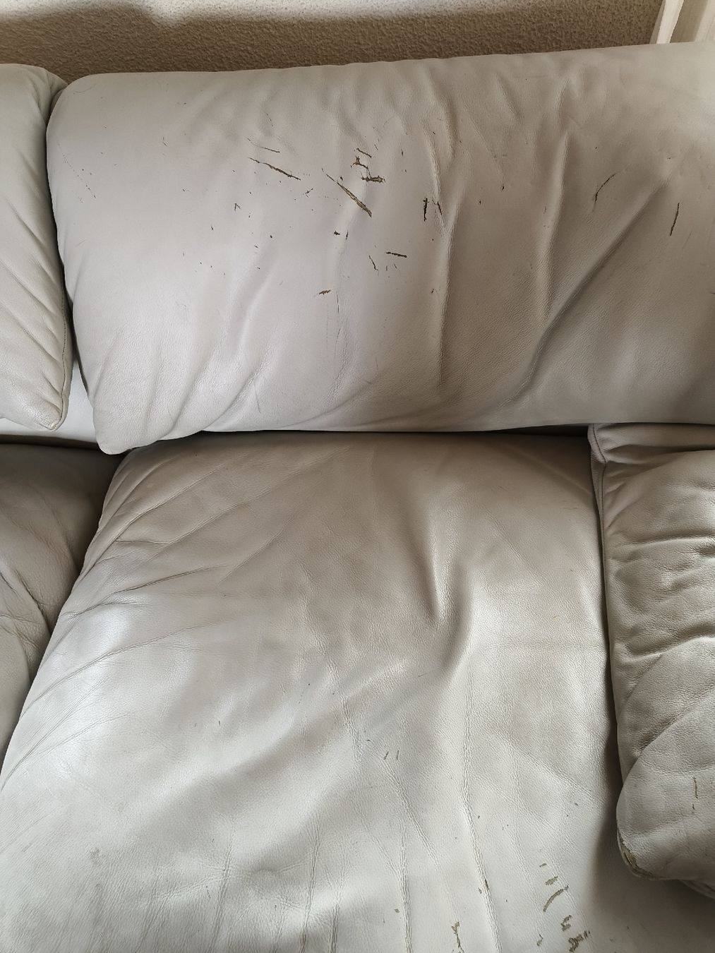 Sofas: Ledersofa Cassina Maralunga – D'occasion à Luzern par FelixKurll 1