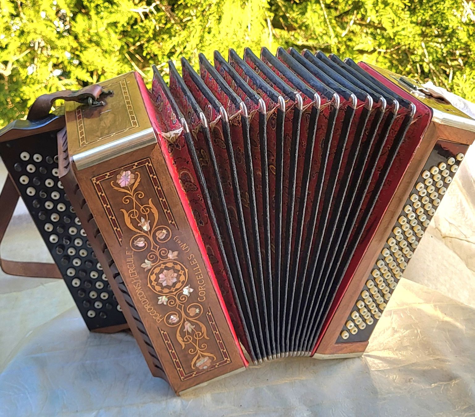Strumenti musicali: accordéon Hercule suisse – Usato da Penthalaz venduto da EvandroLuz 3