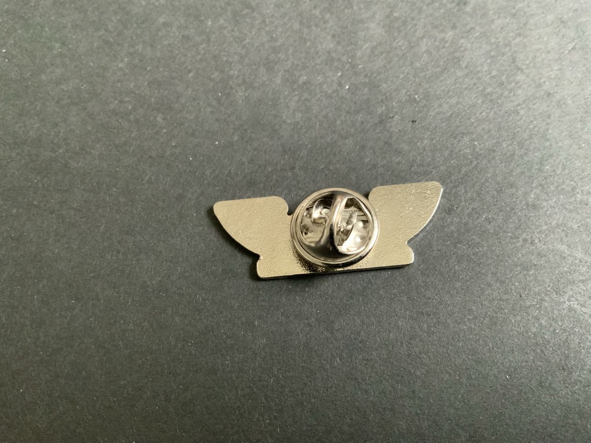 Plaketten & Abzeichen: Mustermesse Pin – Neu (gemäss Beschreibung) aus Binningen von chr_cr5n 1
