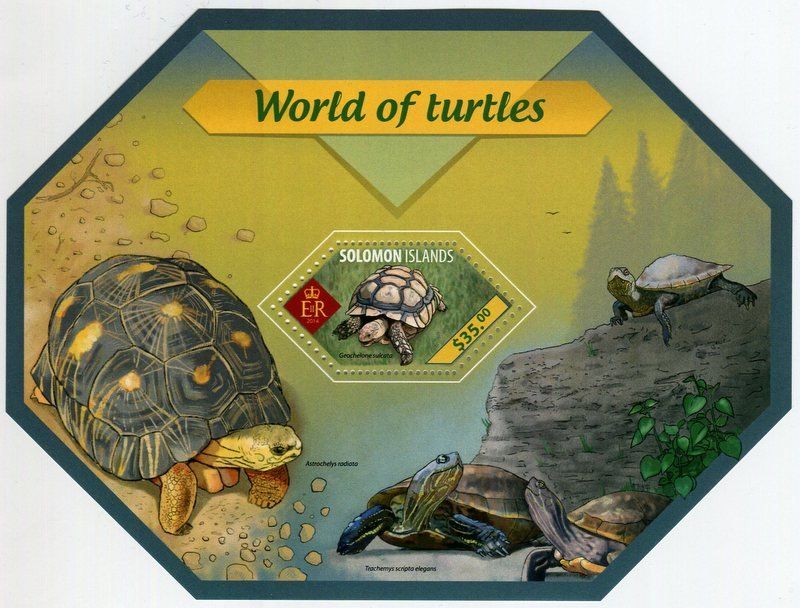 Tutti i francobolli: Block "Schildkröten". Salomonen. – Nuovo e nell'imballaggio originale da Basel venduto da Butsch5