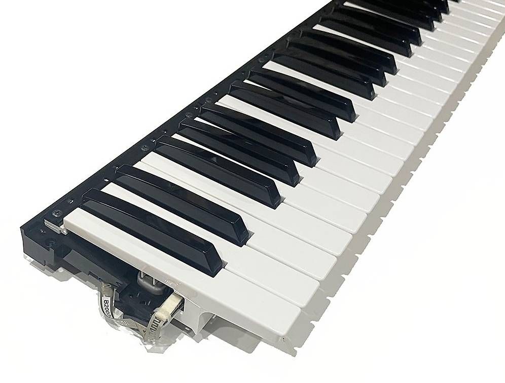 Korg Strumenti musicali: Clavier complet NEUF pour Korg PA1000 – Nuovo (secondo la descrizione) da Torny le Grand venduto da cla_w6np