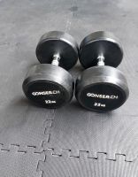 Dumbbell Pair 22 KG Top Zustand