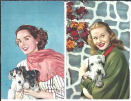 2 CPA - Femmes avec chiens - non circulées