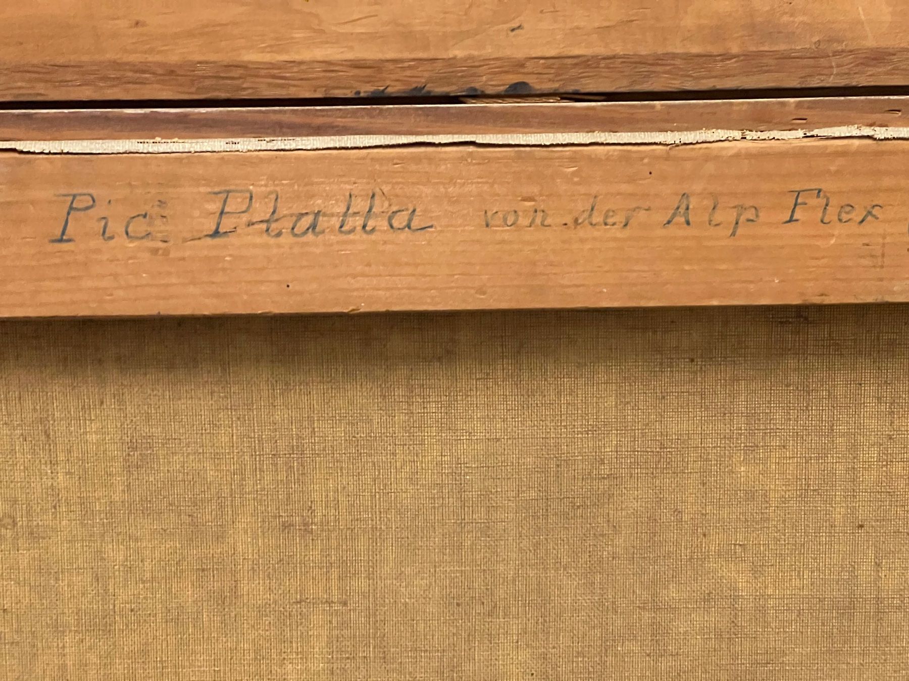Dipinti: F.OERTLI 1920 „PIC PLATTA“ – Usato da Basel venduto da pmART 5