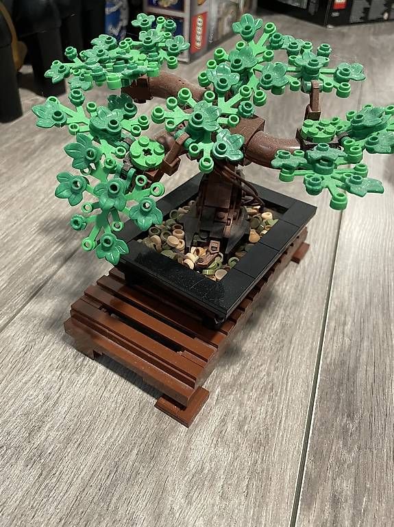 Lego Kit di costruzioni: LEGO Bonsaï Tree 10281 – Usato da Vésenaz venduto da Nephrax 2