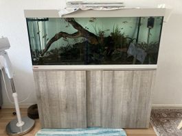Aquarium