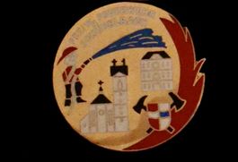 PIN freiwillige Feuerwehr Schübelbach