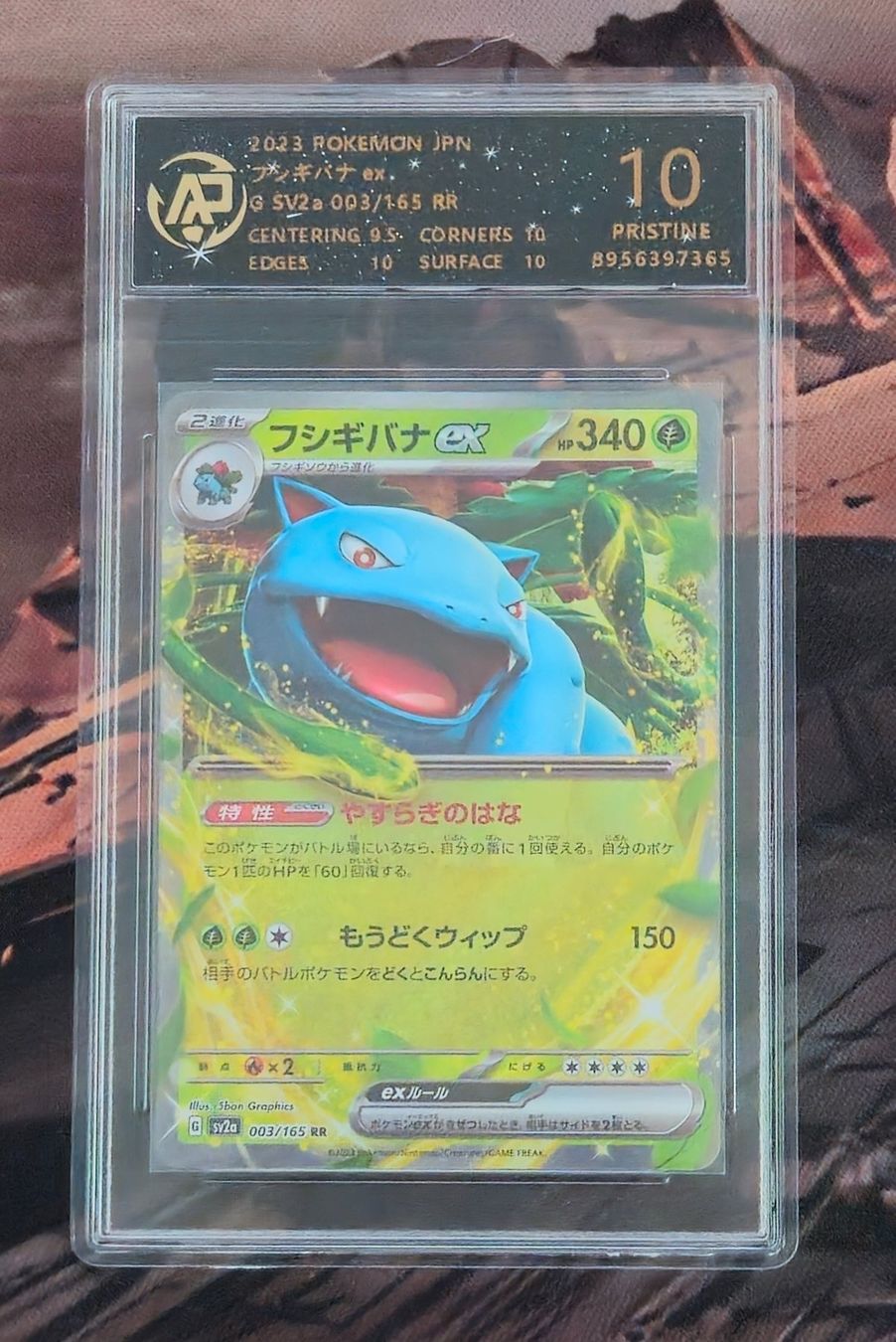 Pokémon Carte collezionabili: Pokémon 151 Venusaur Charizard Blastoise JP Pristine 10 – Nuovo (secondo la descrizione) da Ittigen venduto da PokeBeck 1