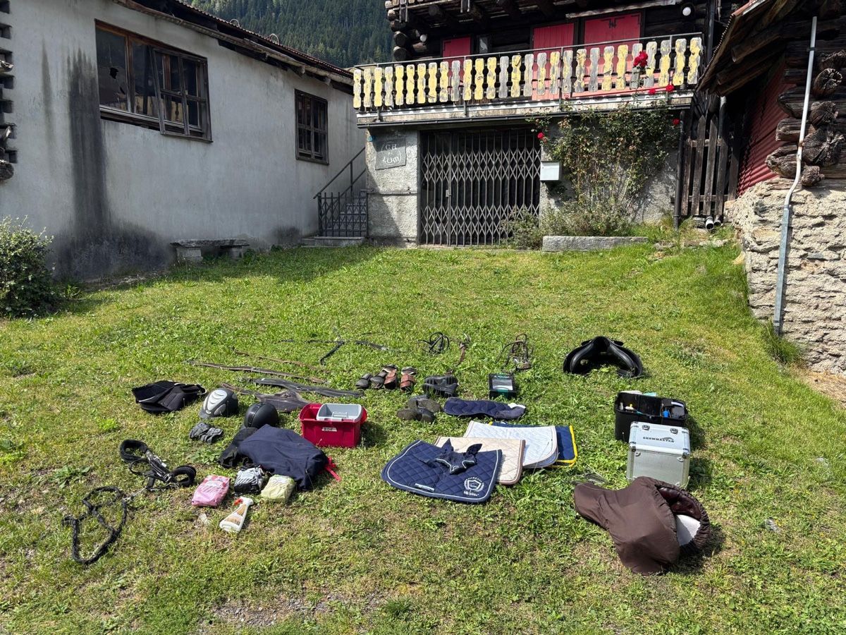 Altro in Accessori per animali: Set di Cavallo – Usato da Airolo venduto da dyl_jn5j 1