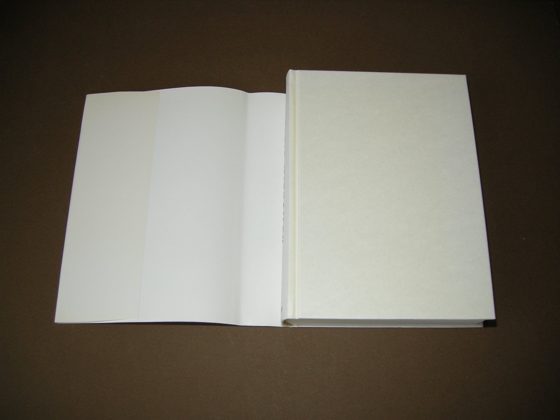 Libri: Boris Mikhailov Case History / Scalo 1999 – Usato da Aarau venduto da Pearlz 2
