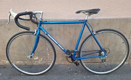 Rennrad Diamond Back Interval blau