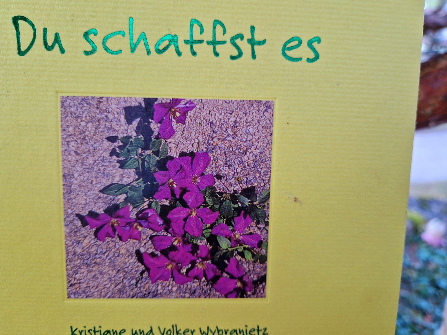 Libri: Buch/Geschenkbuch - Du schaffst es – Usato da Siblingen venduto da Vany_McDougall 8