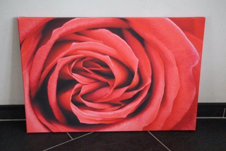 Foto & Immagini: Fotoleinwanddruck 40x60cm – Nuovo (secondo la descrizione) da Eschenbach SG venduto da Anisti13
