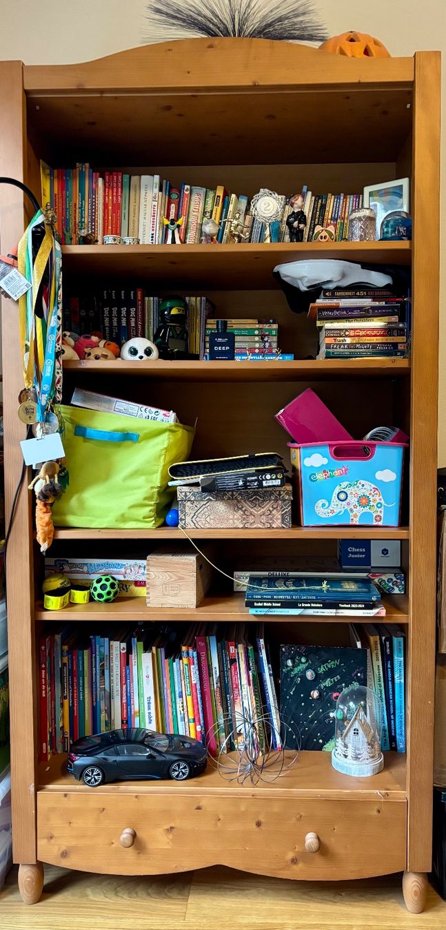 Paidi Fasciatoi & Accessori: PAIDI bookshelf – Usato da Genève venduto da god_nr55