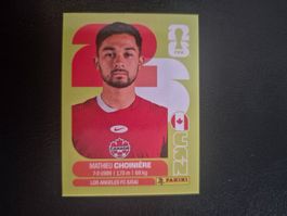Panini WM 26 CAN 15