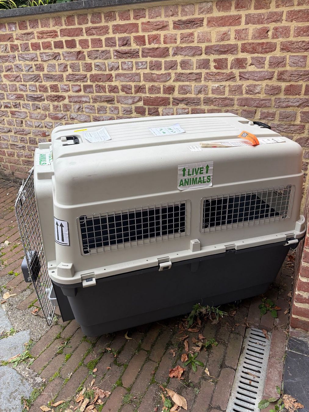 Gabbie, trasporto & Sicurezza: Hundebox – Usato da Uitikon-Waldegg venduto da Domi1234
