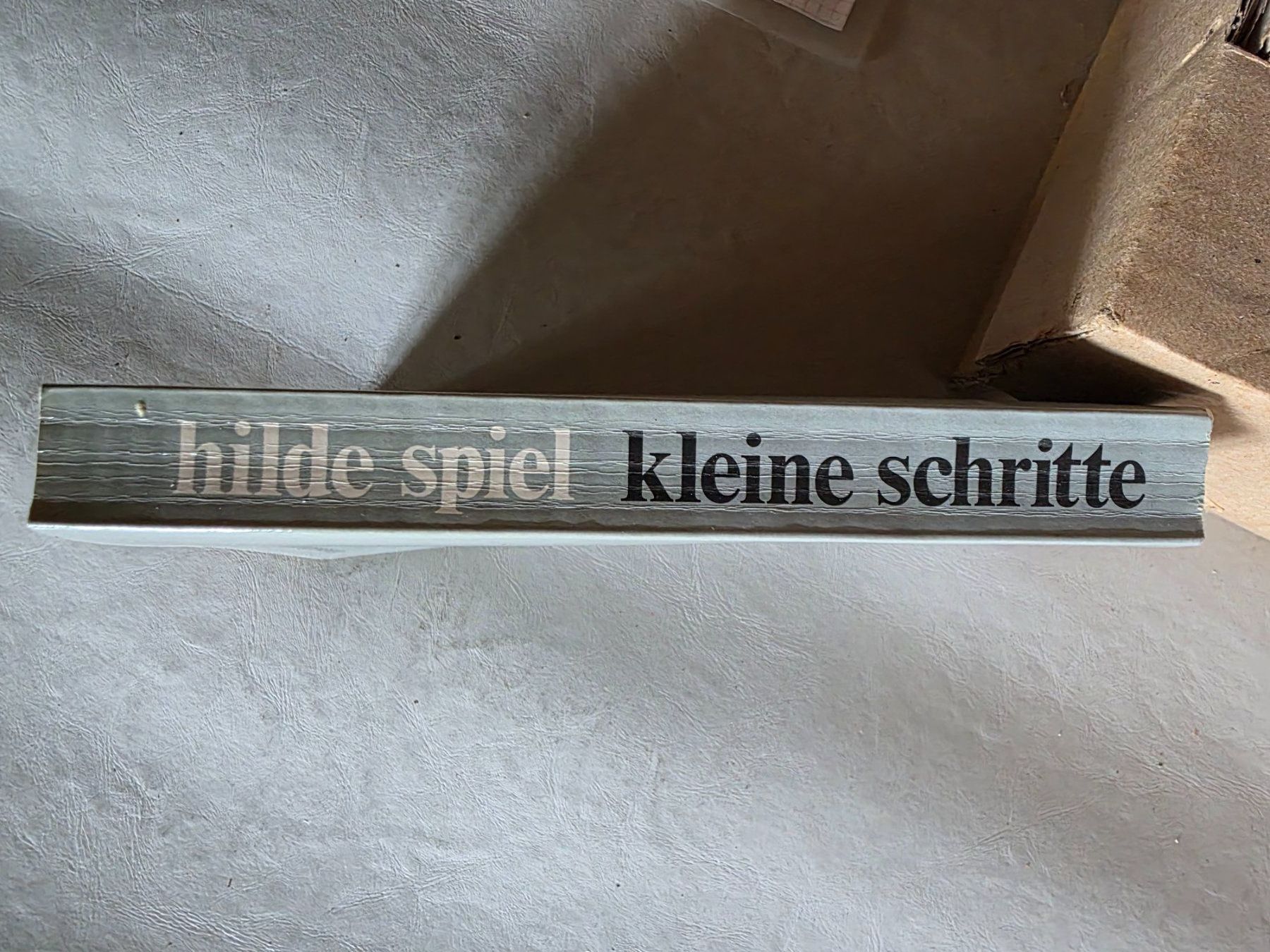 Libri: Hilde Spiel - Kleine Schritte - Edition Spangenberg - 1976 – Usato da Walterswil BE venduto da Lonitti 3