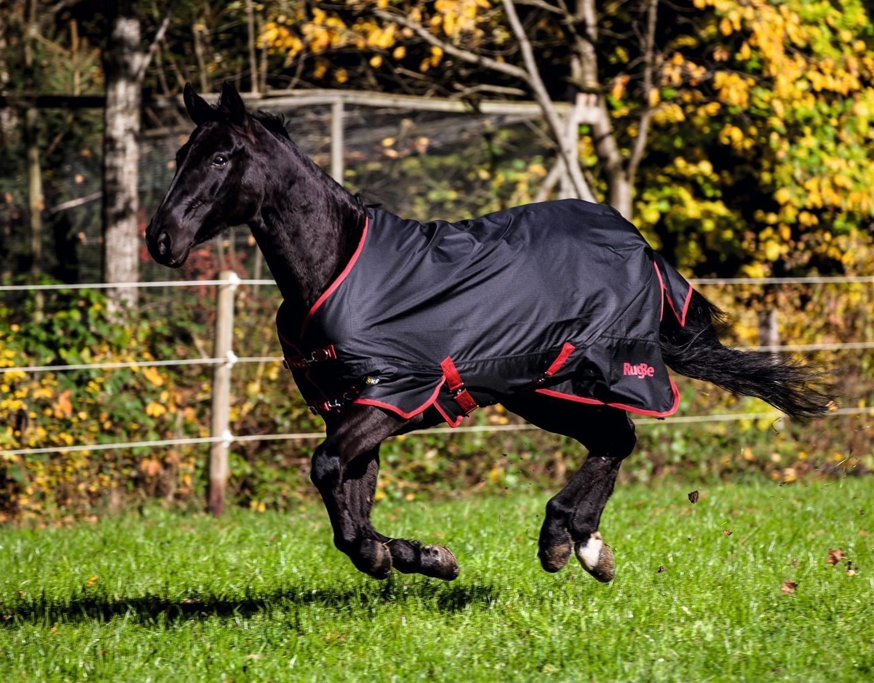 Coperte: Pferdedecke leicht Outdoor Zero 1 – Nuovo e nell'imballaggio originale da St. Gallen venduto da schnaeppchen-preise