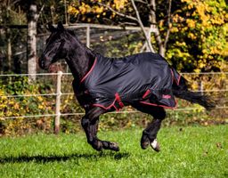 Pferdedecke leicht Outdoor Zero 1