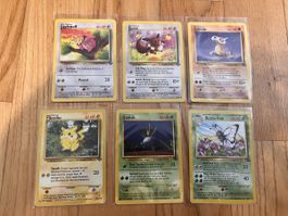 Pokemon Vintage Jungle
