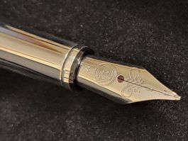 Caran d'Ache, Plume à encre "INK PEN"  NEUF !!!