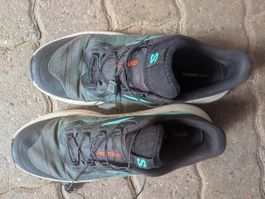 Salomon Genesis - 41 1/3