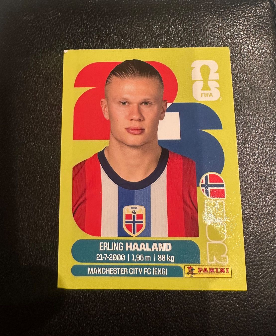 Panini Sammelbilder & Trading cards: PANINI ERLING HAALAND NOR15 – Gebraucht aus Payerne von mike_lth