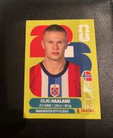 PANINI ERLING HAALAND NOR15