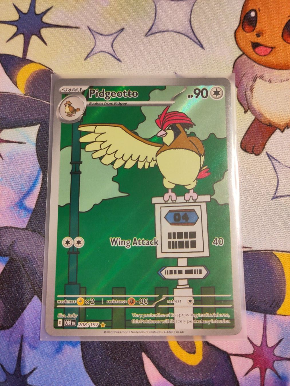 Pokémon Carte collezionabili: Pidgeotto 208/197 — Obsidian Flames – Usato da Weiningen ZH venduto da mathisch