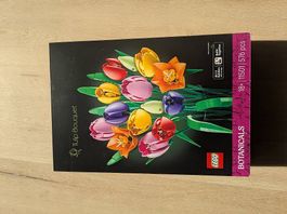 LEGO Botanicals - Tulpenstrauss 11501