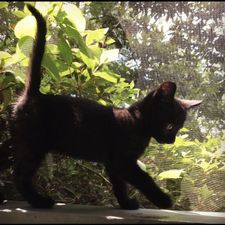 Profile image of kleinerpanther