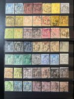 () 49 Sage Type II nuances couleurs 1876-1898