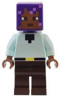 LEGO Minecraft min159 Efe