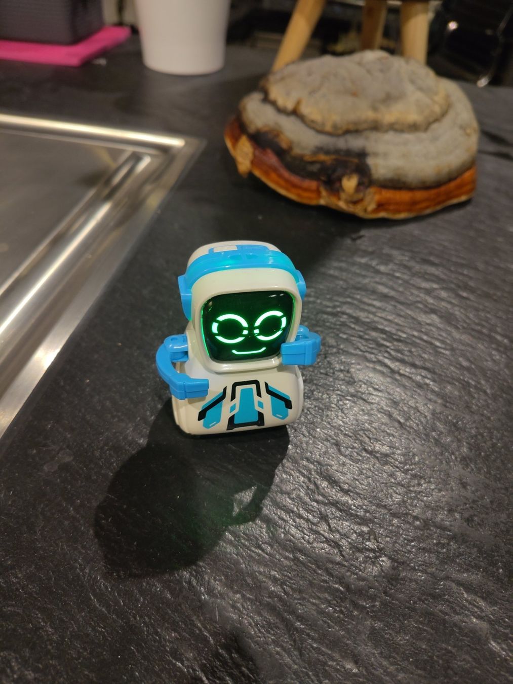 Giocattoli: Silverlit Pokibot Roboter ***PORTOFREI*** – Usato da Landquart venduto da Chrigi88 1