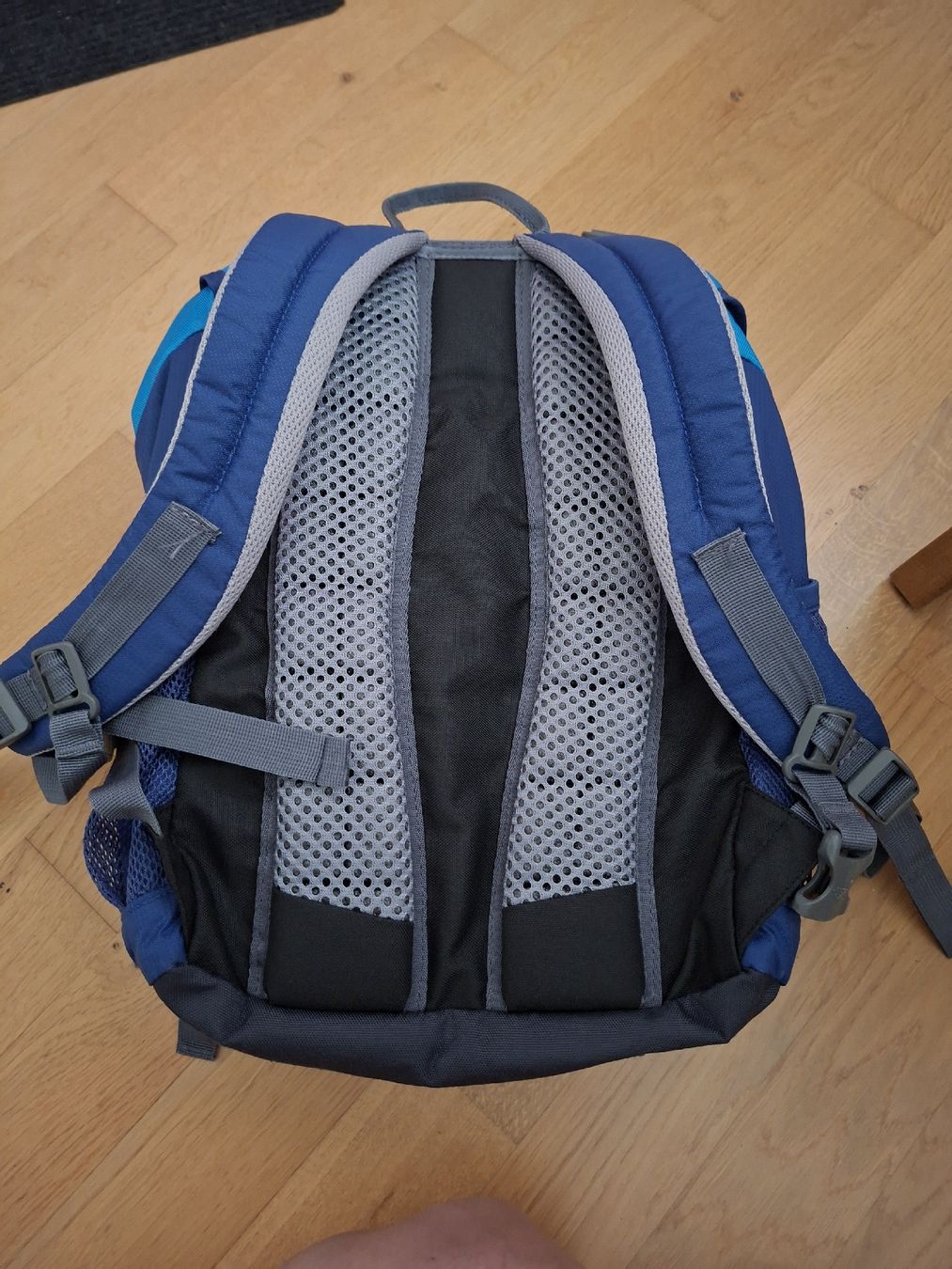 Deuter Sacs & sacs à dos: Rucksack Deuter junior blau – D'occasion à Lyss par Infinia 2
