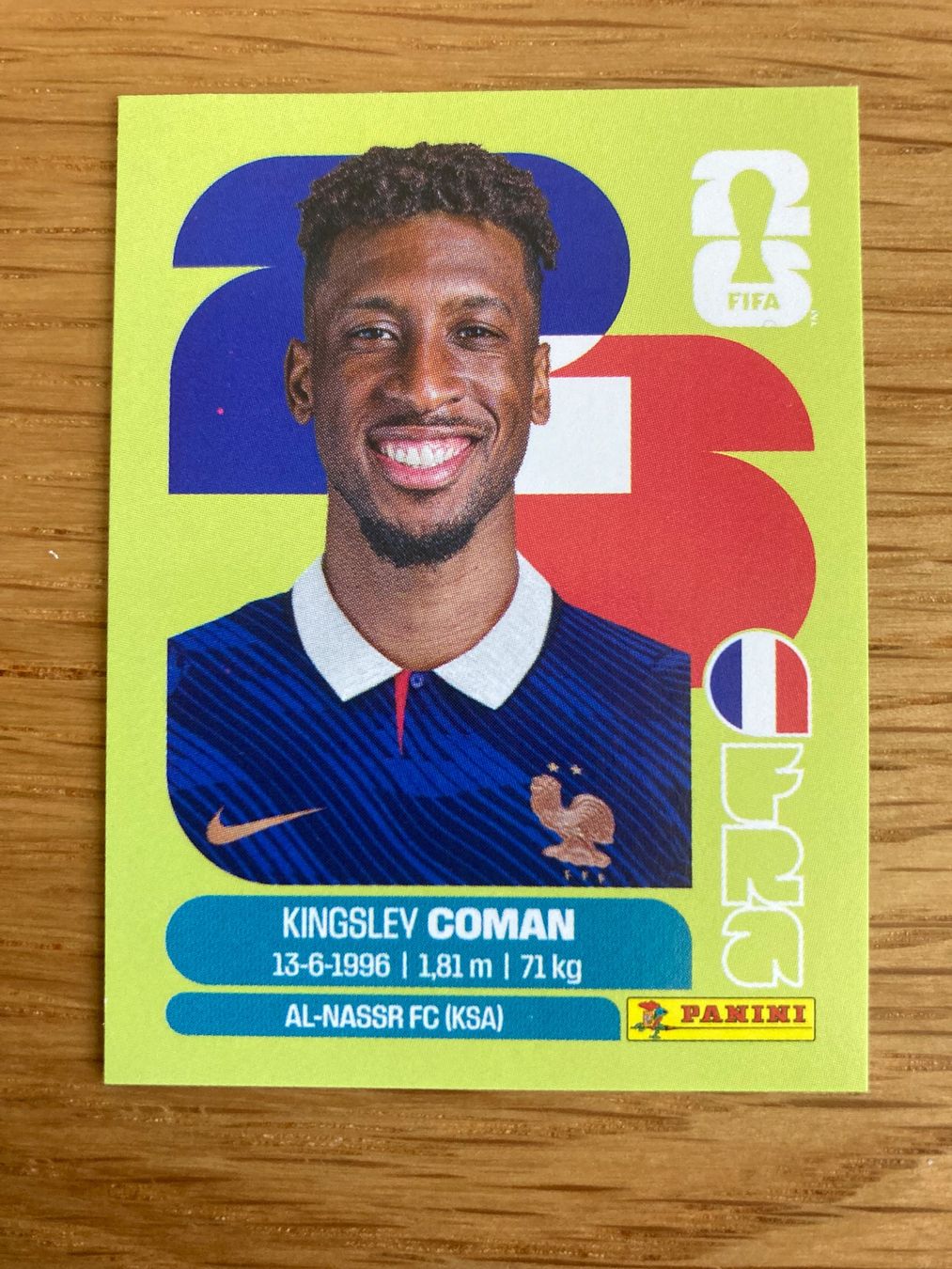 Panini Cartes à collectionner: WM Sticker FRA 18 – Neuf (Voir description) à Winterthur par Whitefish