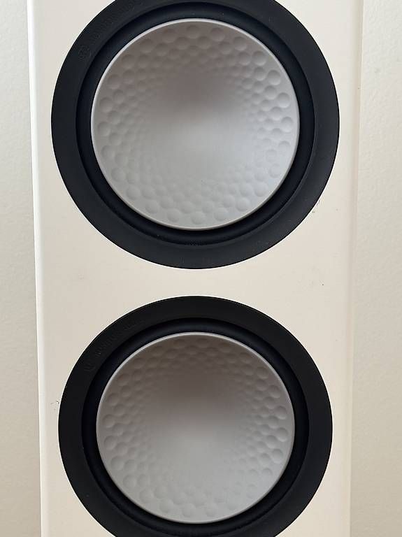Casse acustiche: Monitor Audio Silver 300 floorstanding loudspeaker – Usato da Basel venduto da DanWa 4