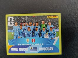PANINIS - URU 13