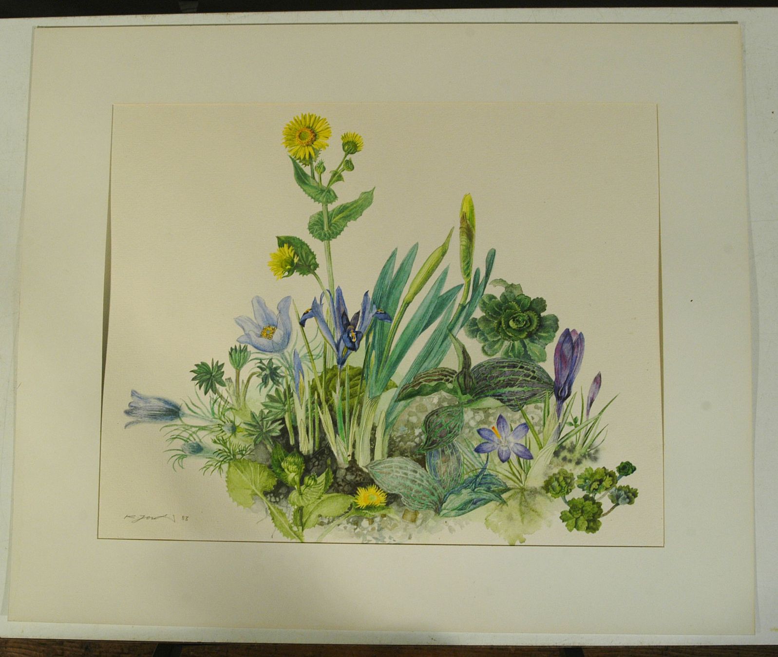 Dipinti: Blumenstilleben Aquarell signiert – Usato da Herisau venduto da Wisen