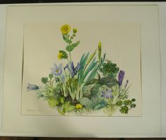 Blumenstilleben Aquarell signiert