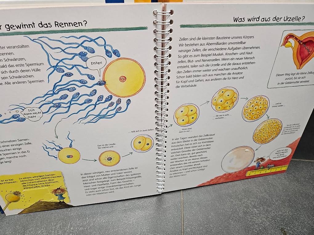 Libri: Woher die kleinen Kinder kommen – Usato da Neudorf venduto da Vogelhof 1
