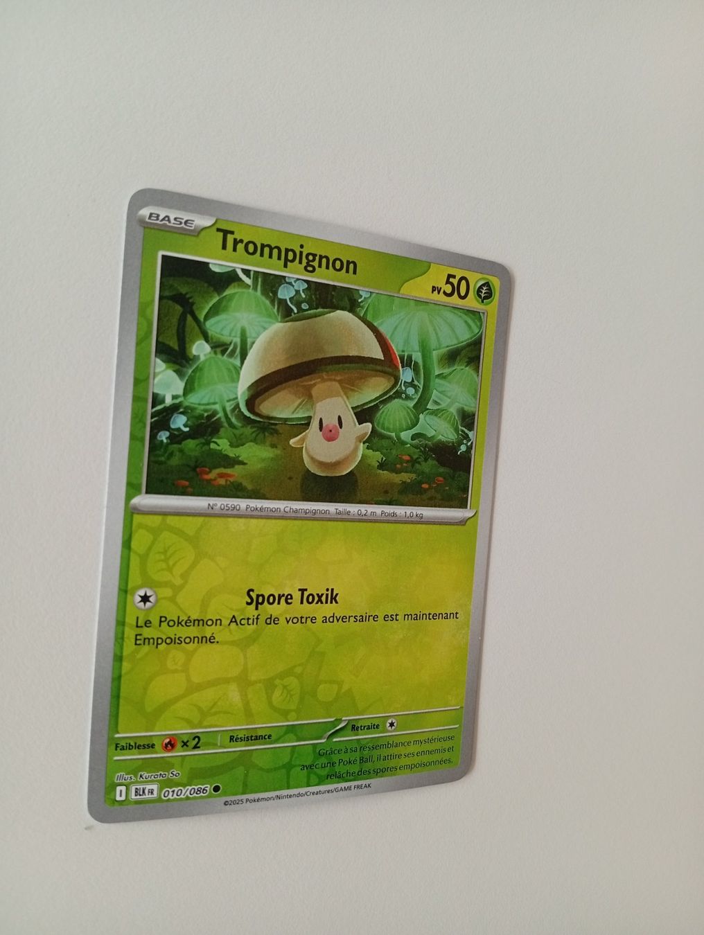 Carte collezionabili: Pokémon 2025 /2024 en lot – Usato da Villars-sur-Glâne venduto da dadj01 8