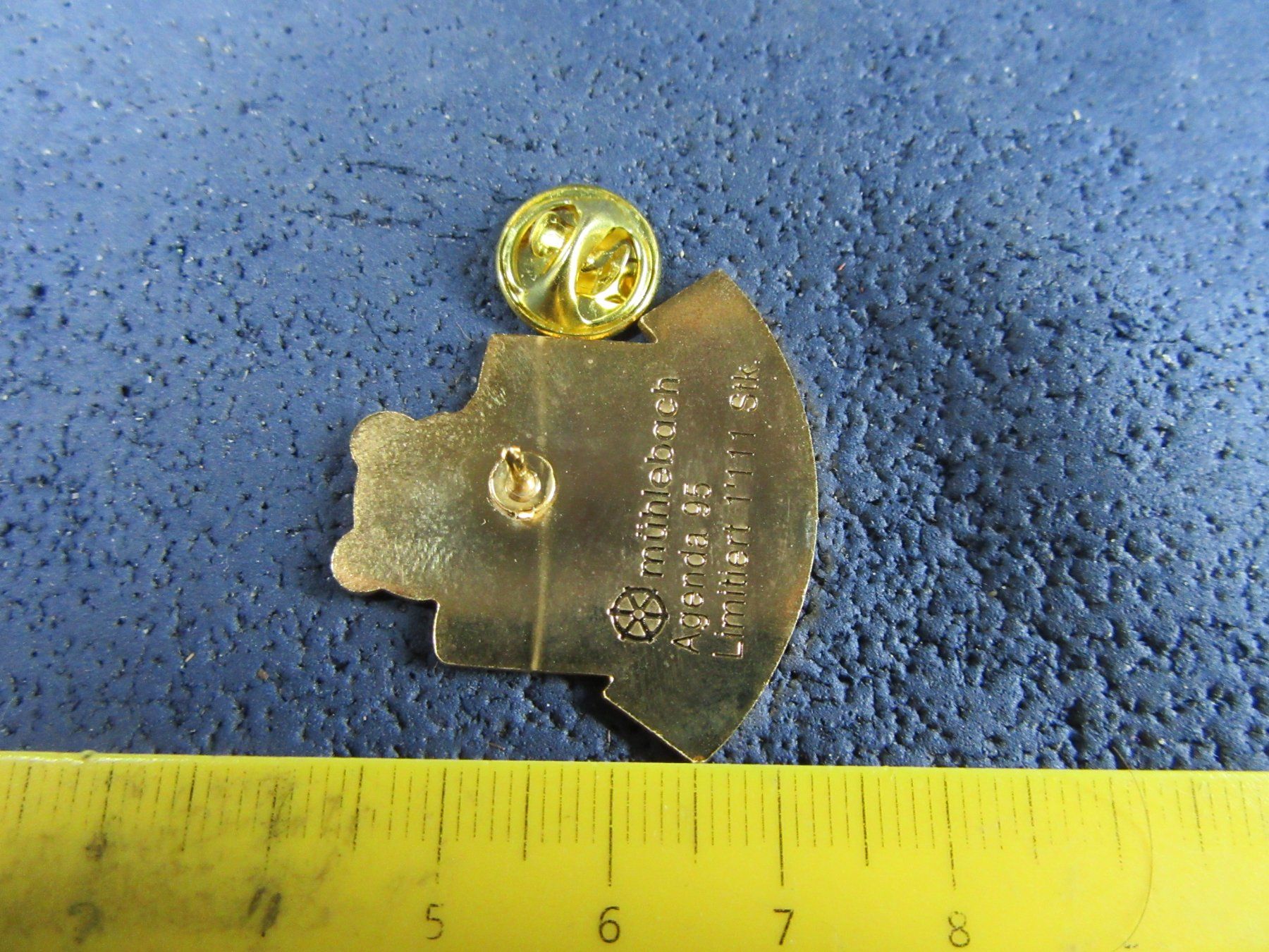 Swiss Placchette & Badge: BÄREN-GRABEN BERN PIN – Usato da Ettingen venduto da Hausi4711 1