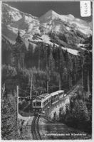 Wengernalpbahn mit Silberhörner